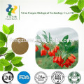 Polysaccharides 30% ningxia goji berry